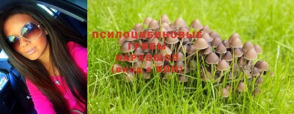 apvp Абинск