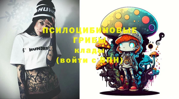 PSILOCYBIN Покачи