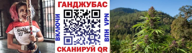 МАРИХУАНА планчик  Заринск 